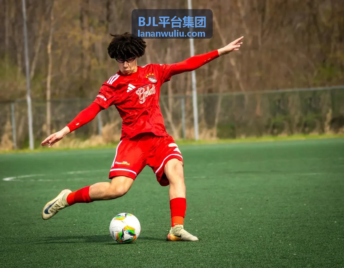 BJL平台零售全渠道案例
